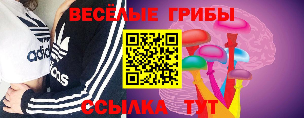 Псилоцибиновые грибы GOLDEN TEACHER Архангельск